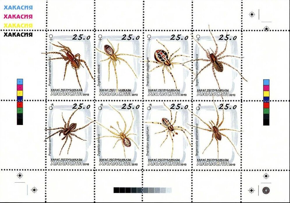 Spiders