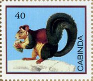 Stamp, Squirrel, Cinderellas,  , Animals (Fauna), Mammals, Squirrels
