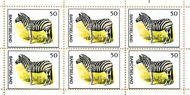 Zebra