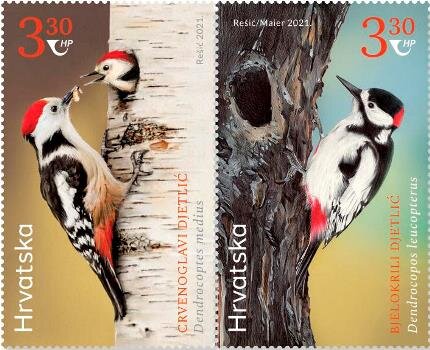 Woodpeckers