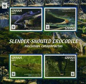 Mini Sheet, Mecistops cataphractus, Ghana,  , Animals (Fauna), Crocodiles, Reptiles, WWF
