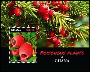 Souvenir Sheet, Taxus baccata, Ghana,  , Plants (Flora)