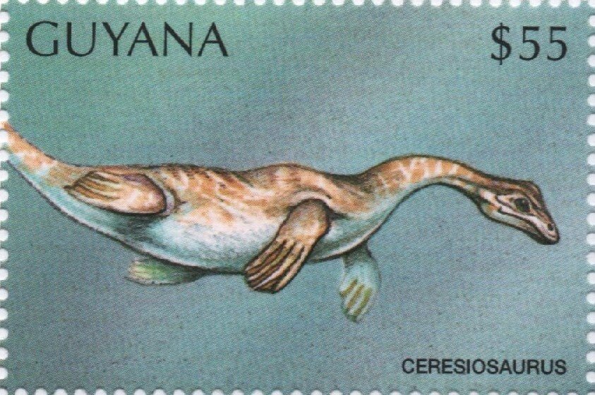 Ceresiosaurus