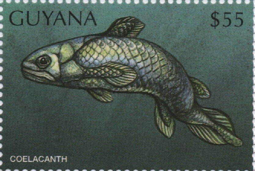 Coelacanth