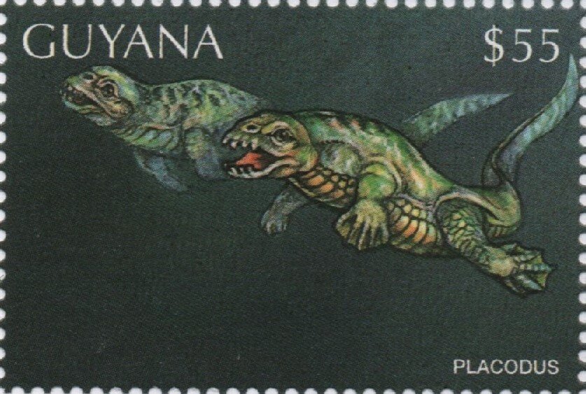 Placodus