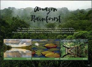 Souvenir Sheet, River scenes, Guyana,  , Landscapes, Rainforest