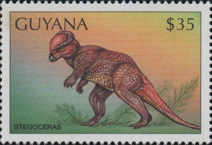 Stegoceras