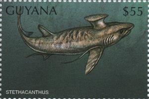 Stamp, Stethacanthus, Guyana,  , Dinosaurs