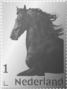 Stamp, The Friesian horse, Netherlands- Personalized stamps,  , Horses