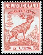 Caribou