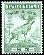 Caribou