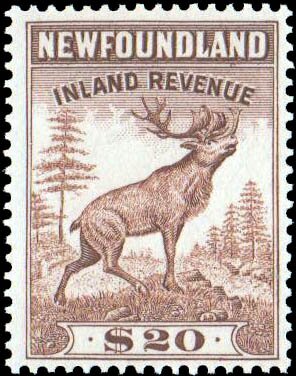 Caribou