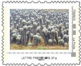 Stamp, Natural Splendors of Planet. Ocetá Paramo - Colombia, Personalized and Private Mail Stamps,  , Landscapes, Mountains, Photographs, Plants (Flora), Trees