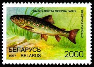 Stamp Rare fish species of Belarus - Trout 