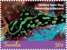 Variable Neon Slug (Nembrotha kubaryana)