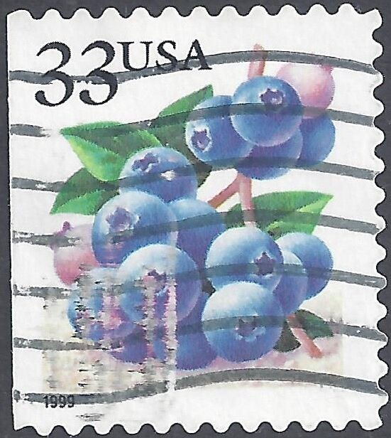 Fruit Berries: Blueberries