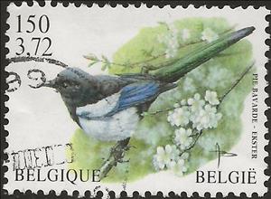 Stamp, Eurasian Magpie (Pica pica), Belgium,  , Animals (Fauna), Birds