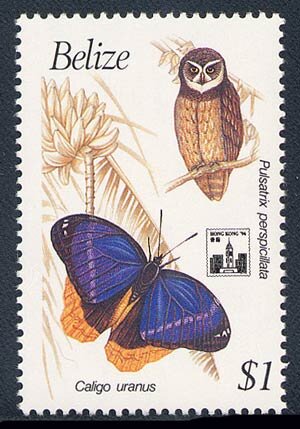 Spectacled Owl (Pulsatrix perspicillata); HongKong overprint