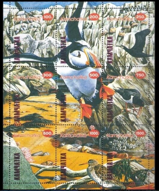 Birds