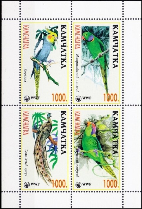 Birds WWF