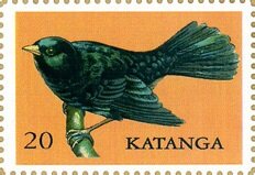 Blackbird
