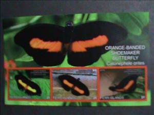Mini Sheet, Butterflies, Cinderellas,  , Animals (Fauna), Butterflies, Insects
