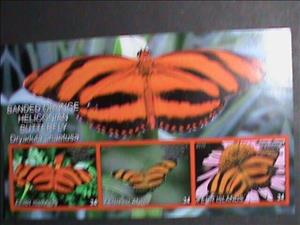 Mini Sheet, Butterflies, Cinderellas,  , Animals (Fauna), Butterflies, Insects