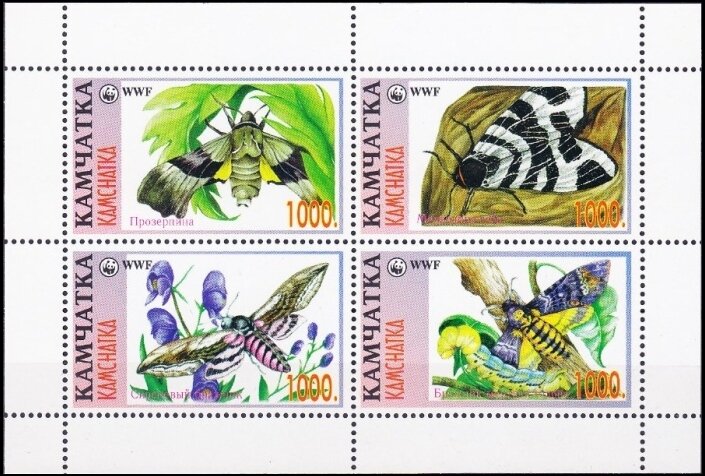 Butterflies WWF