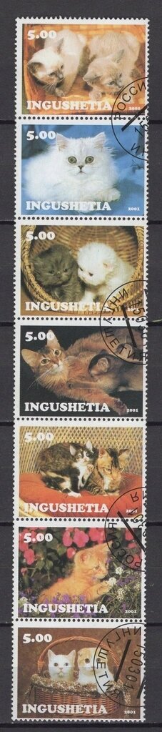 Cats