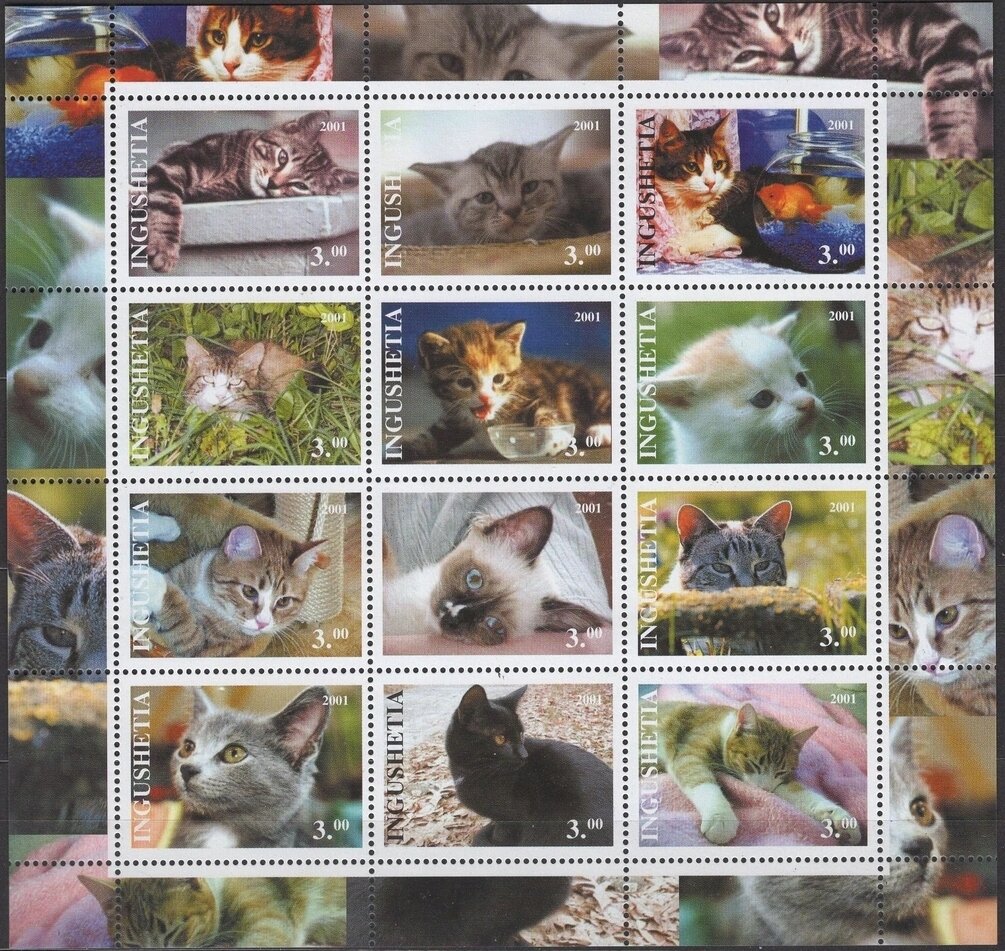 Cats