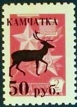 Deer