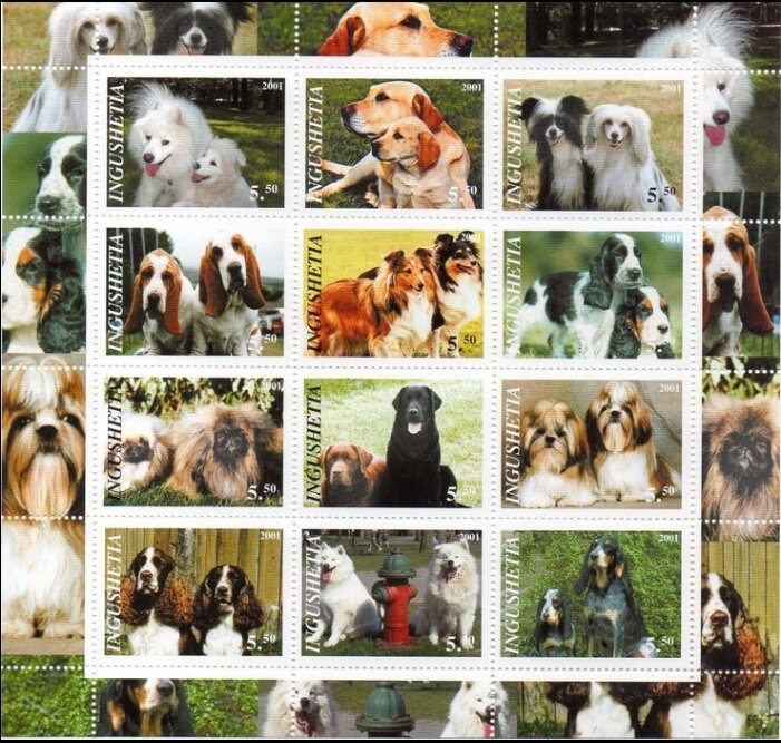 Dogs