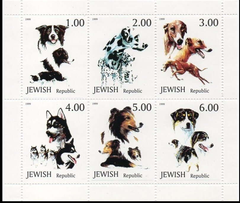 Dogs