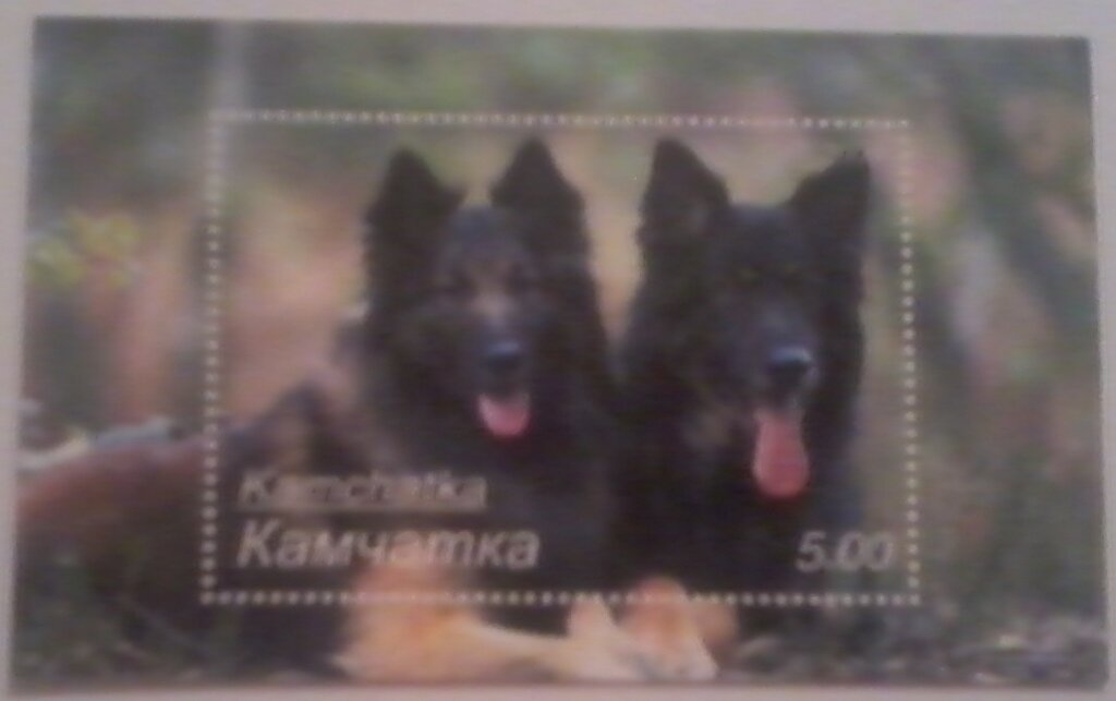 Dogs