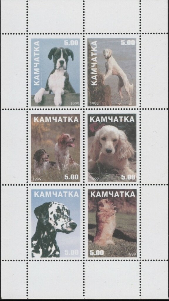 Dogs