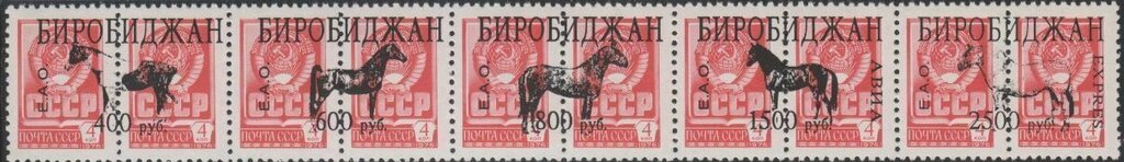 Horses