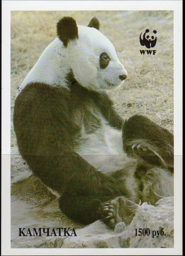 Koalas