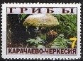 Mushrooms