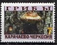 Mushrooms