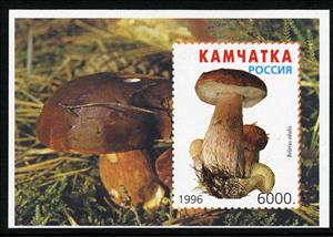 Souvenir Sheet, Mushrooms, Cinderellas,  , Mushrooms