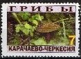 Stamp, Mushrooms, Cinderellas,  , Mushrooms