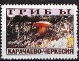 Stamp, Mushrooms, Cinderellas,  , Mushrooms