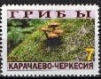 Mushrooms