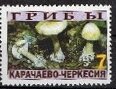 Mushrooms