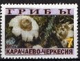 Stamp, Mushrooms, Cinderellas,  , Mushrooms