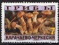 Stamp, Mushrooms, Cinderellas,  , Mushrooms