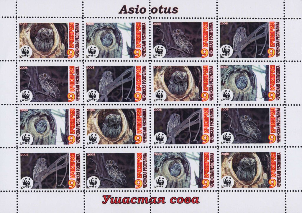 Owls