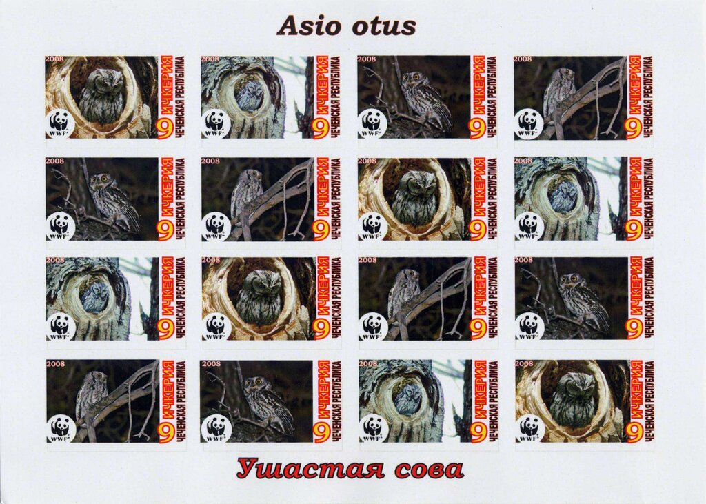 Owls