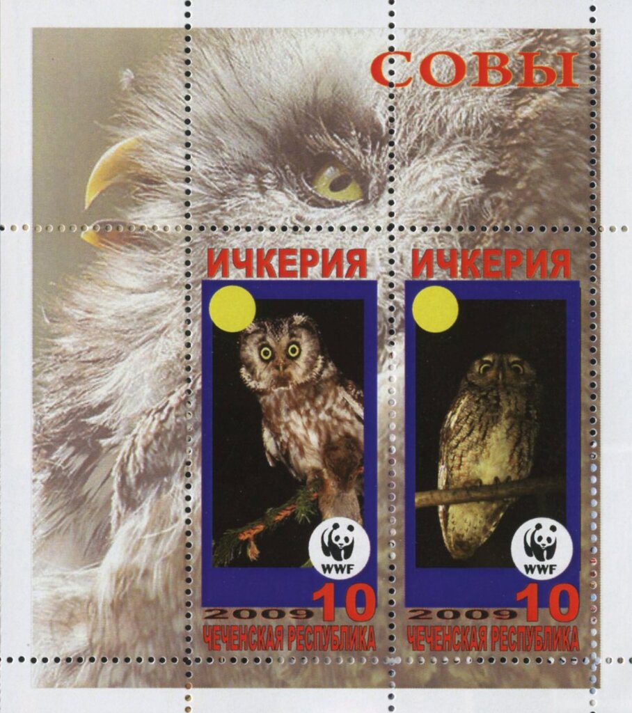 Owls