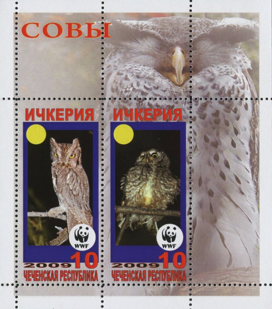 Owls